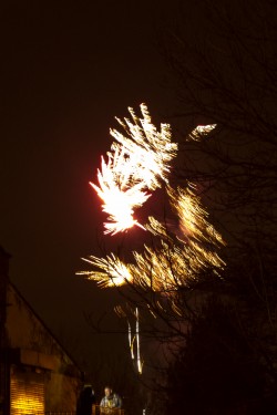 New Year and Rocking Horse at the Bike'N'Hound - Photos by Tobias Alexander/Grey Trilby