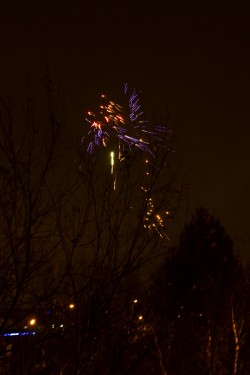 New Year and Rocking Horse at the Bike'N'Hound - Photos by Tobias Alexander/Grey Trilby