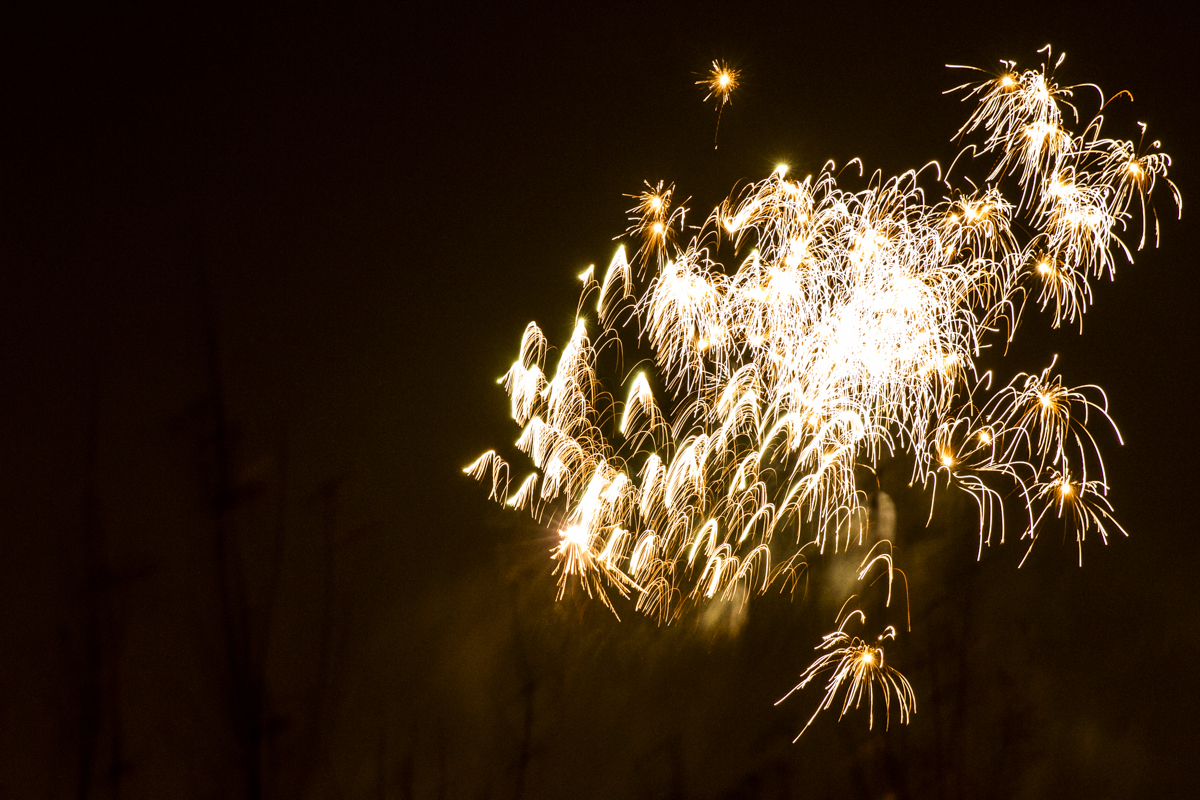 New Year and Rocking Horse at the Bike'N'Hound - Photos by Tobias Alexander/Grey Trilby