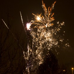 New Year and Rocking Horse at the Bike'N'Hound - Photos by Tobias Alexander/Grey Trilby