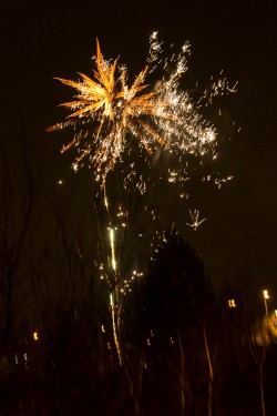 New Year and Rocking Horse at the Bike'N'Hound - Photos by Tobias Alexander/Grey Trilby